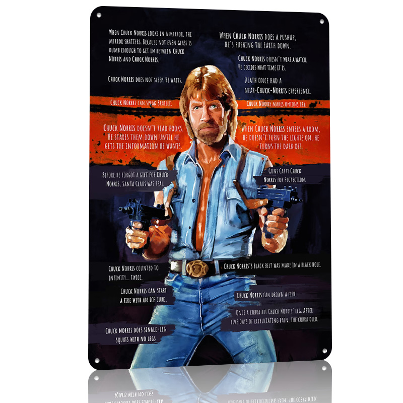 Chuck Norris Memes Metal Poste - Retro Gaming Meme ulasan dan harga